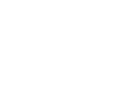 Winter Film Festival